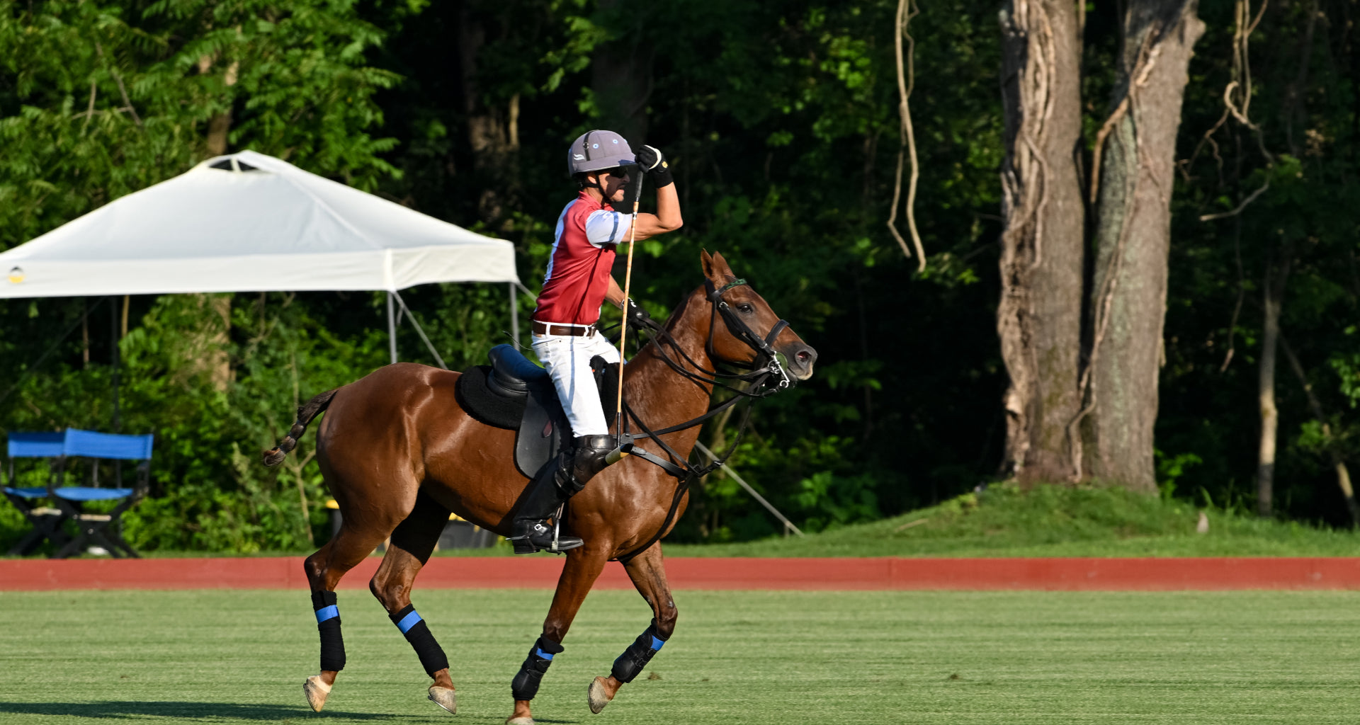 Polo Match, Man on horse