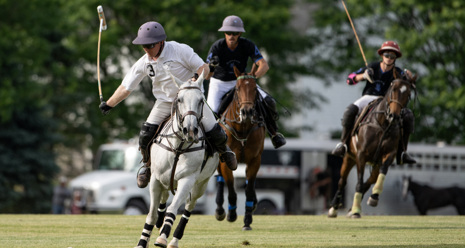 Polo Match