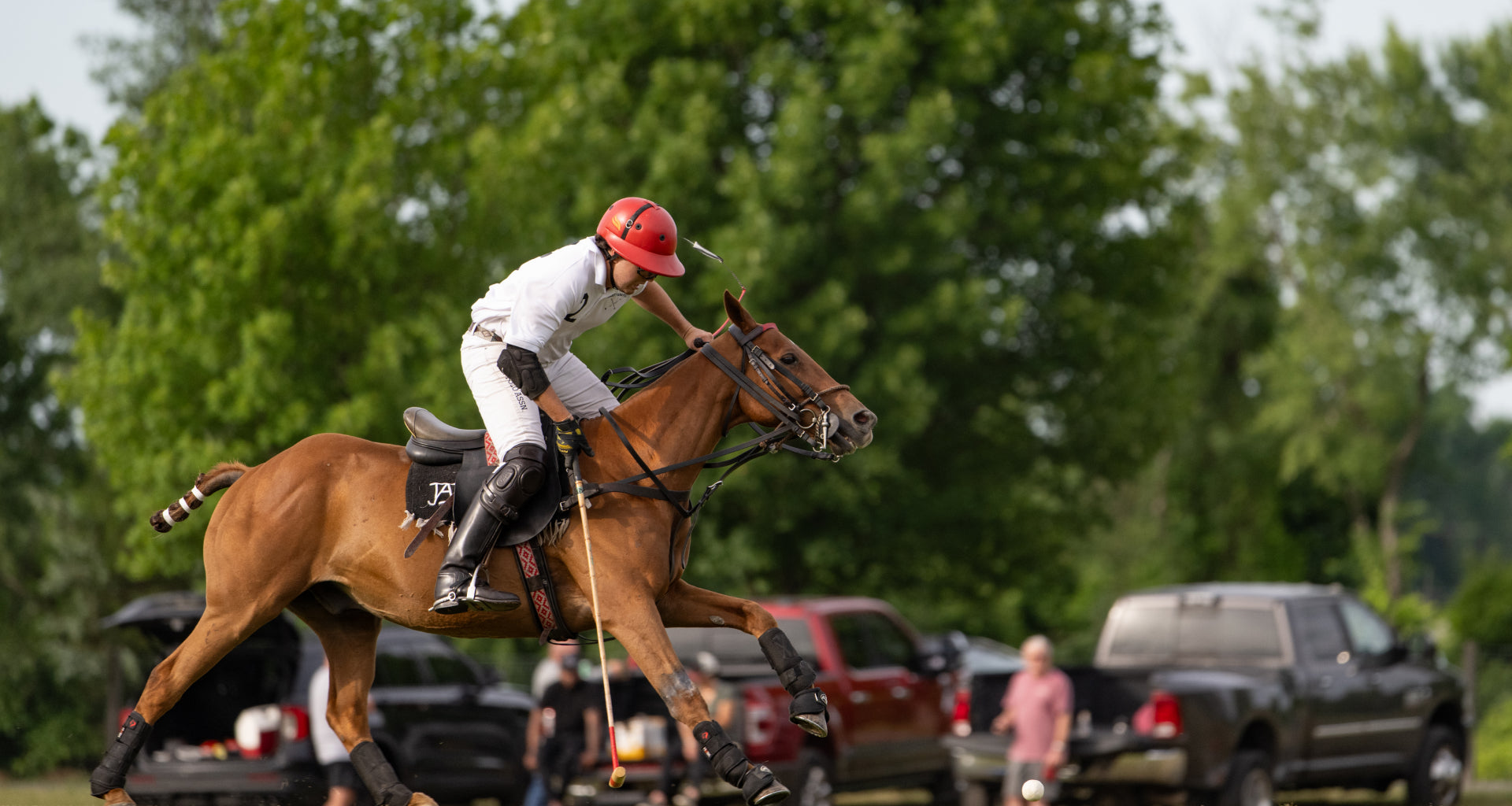Polo match, man on horse